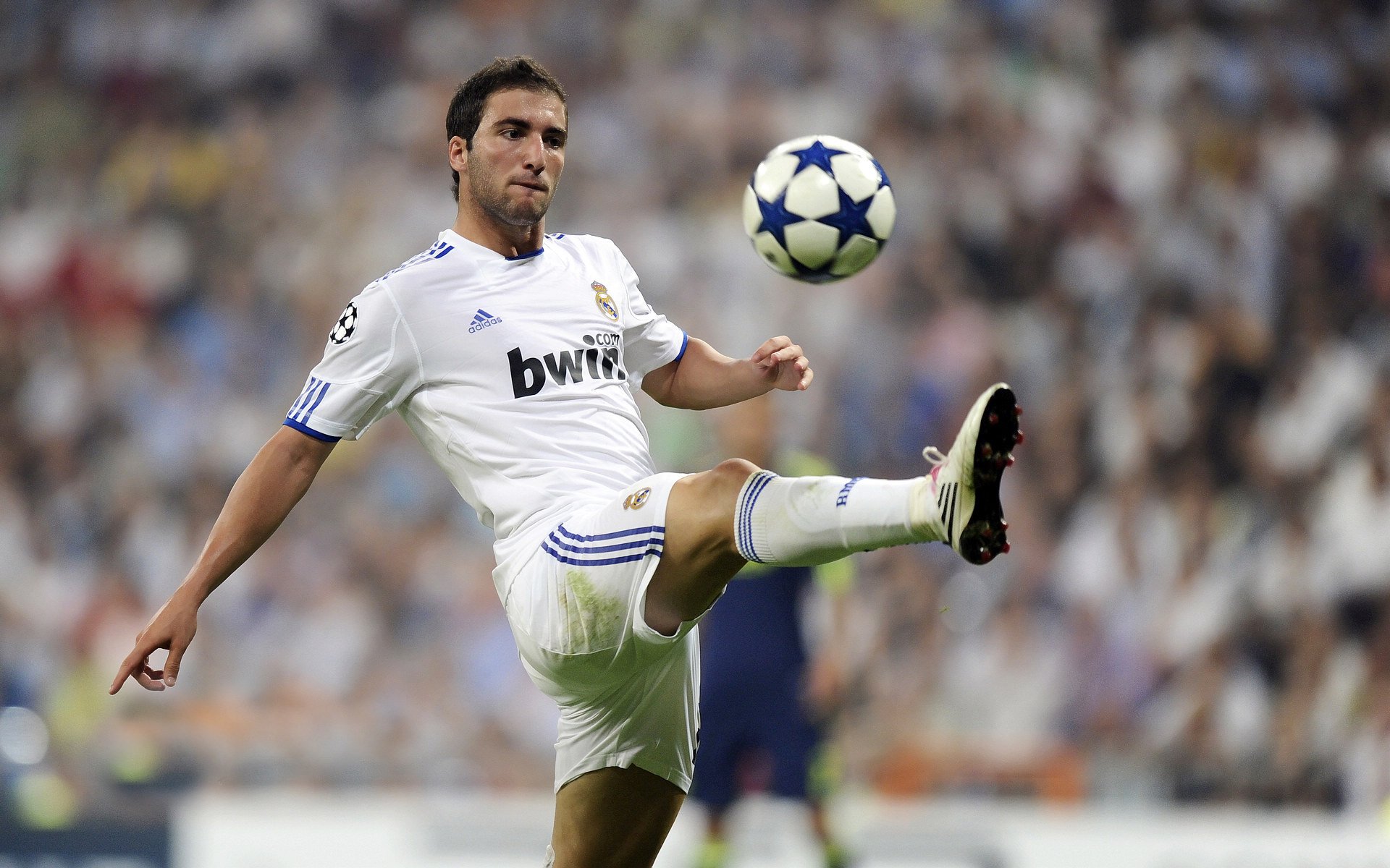 俱乐部在球迷服务体系上推出数字化改造，职业体育俱乐部的球迷产品有哪些