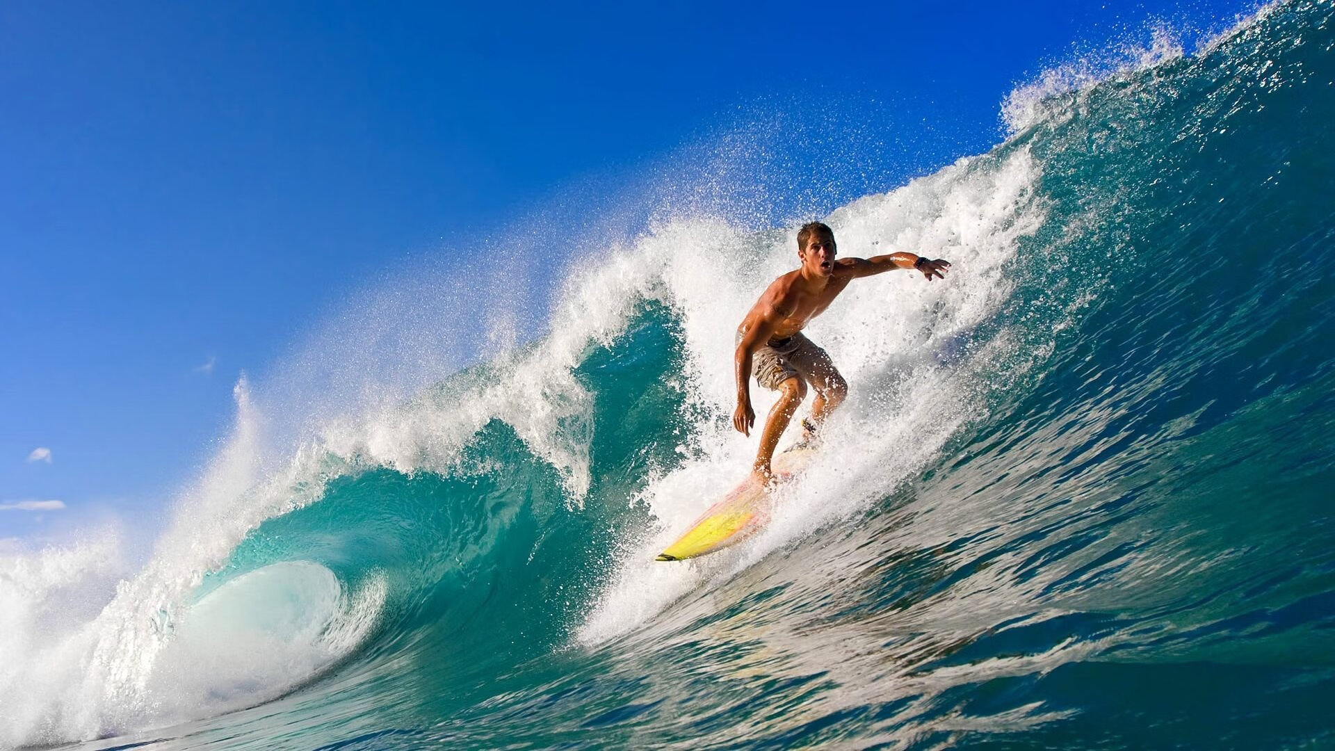 乐鱼app-女篮精神让中国更加自信，中国女篮的精神给我的感受